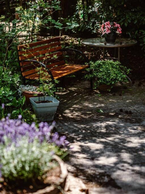 Forest Cottage With Lovely Garden & Sauna Doornspijk Exterior photo