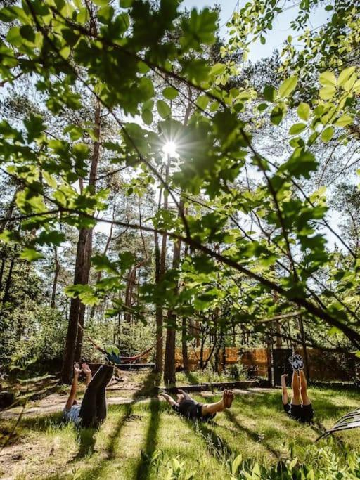 Forest Cottage With Lovely Garden & Sauna Doornspijk Exterior photo