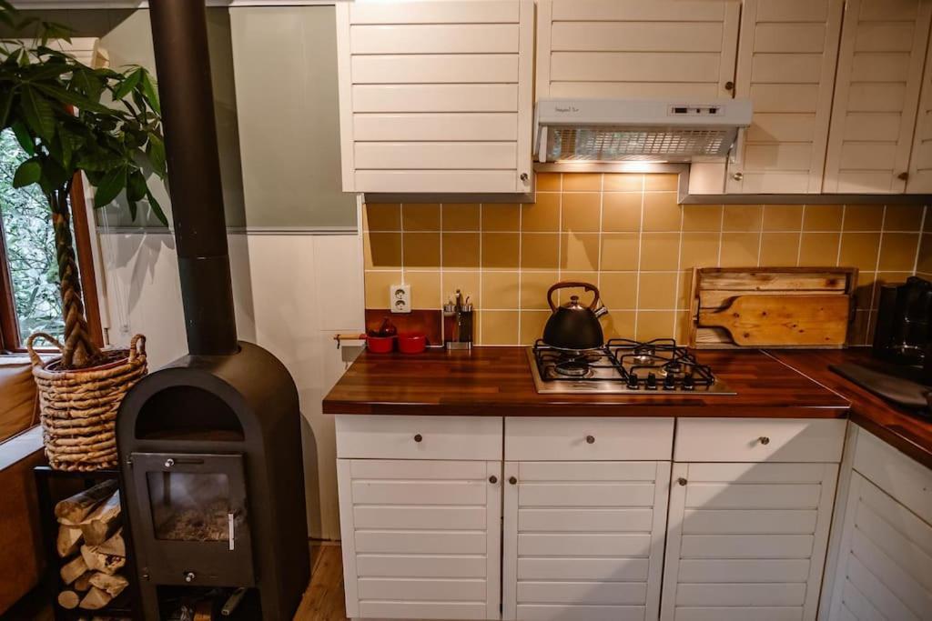 Forest Cottage With Lovely Garden & Sauna Doornspijk Exterior photo